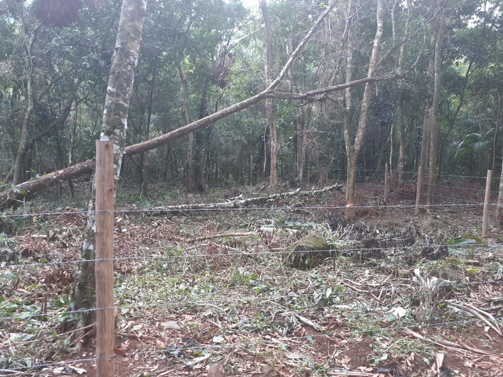 Grande área desmatada é localizada em Angra dos Reis após denúncias 